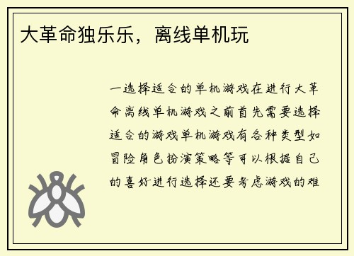 大革命独乐乐，离线单机玩
